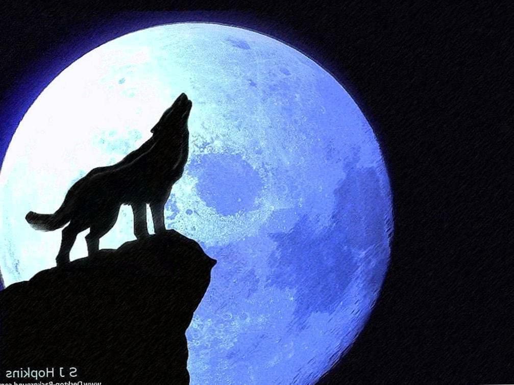 wolf howling at the red moon wallpaper background image 2