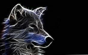 3D HD Wallpapers Wolf