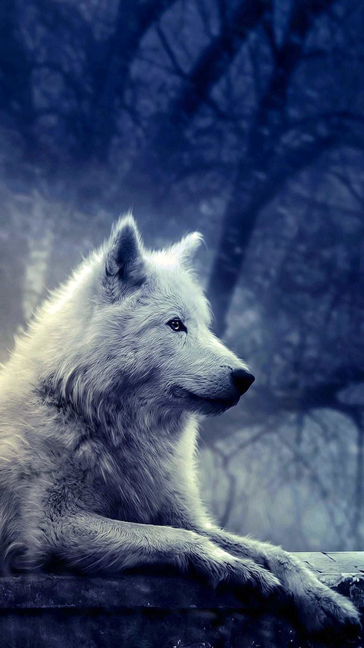 White Wolf Wallpapers iPhone