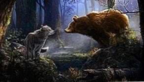 Bear Wolf HD Wallpapers