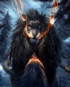 Wolf Lion Wallpapers