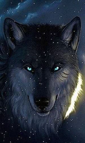 snow wolf wallpaper live background image 2