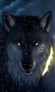Live Wallpapers Black Wolf