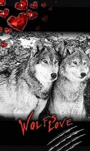 Live Wolf Wallpapers