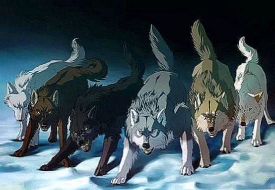 Wolf Group Wallpaper Image 1