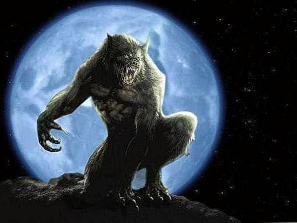 Werewolf HD Wallpapers For Mobile