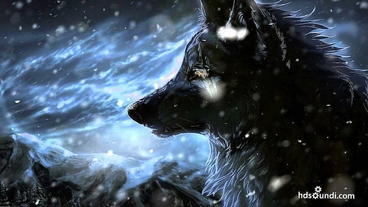 the wolf and the moon wallpaper hd background image 3