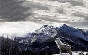 Wolf Mountains Wallpaper Image 1