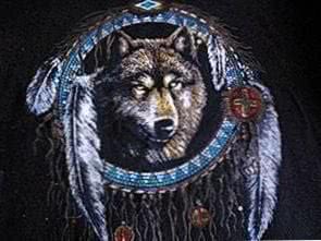 HD Wallpaper Native American Wolf Image 1