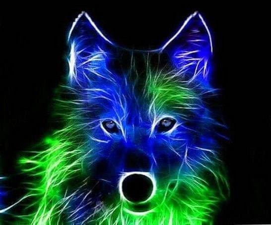 Neon Blue Wolf Wallpapers