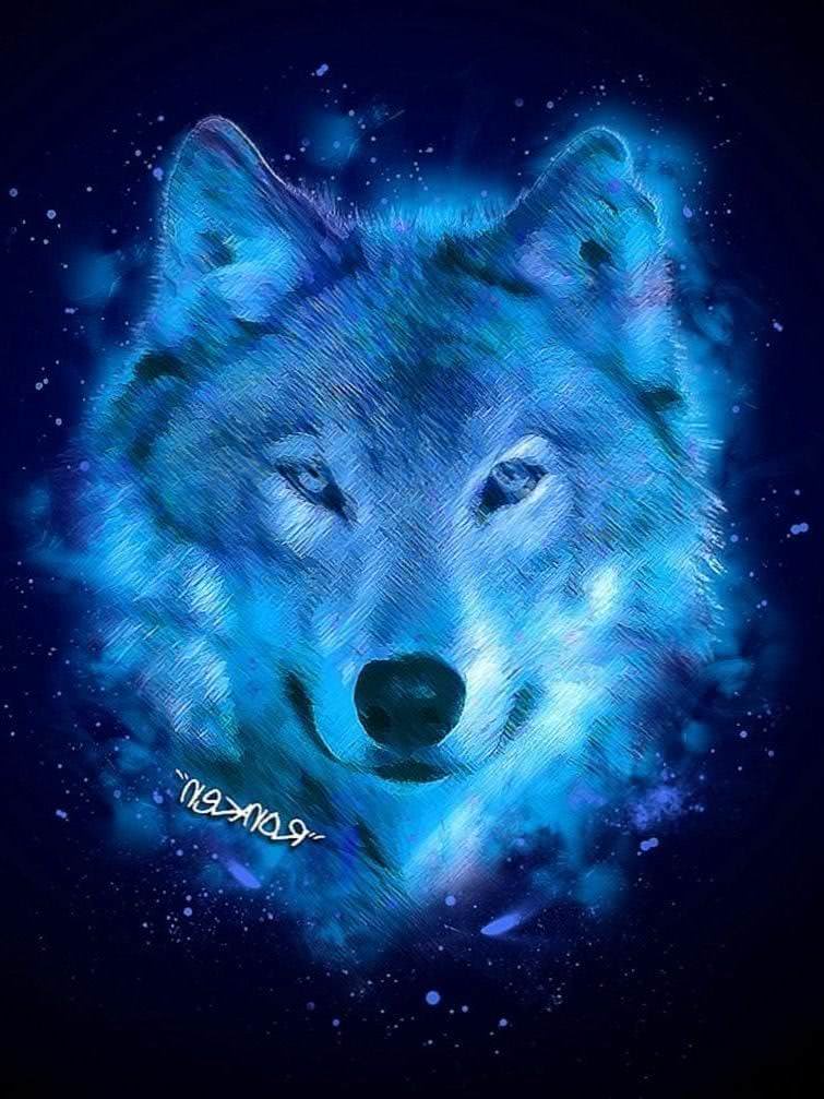 Night Wolf HD Wallpapers