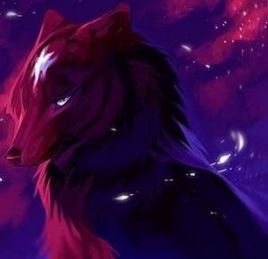 Wolf Drawings Wallpapers