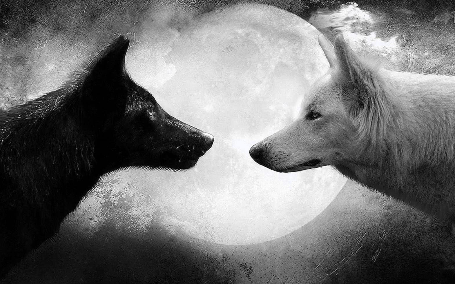 Full Moon Wolf Wallpapers HD