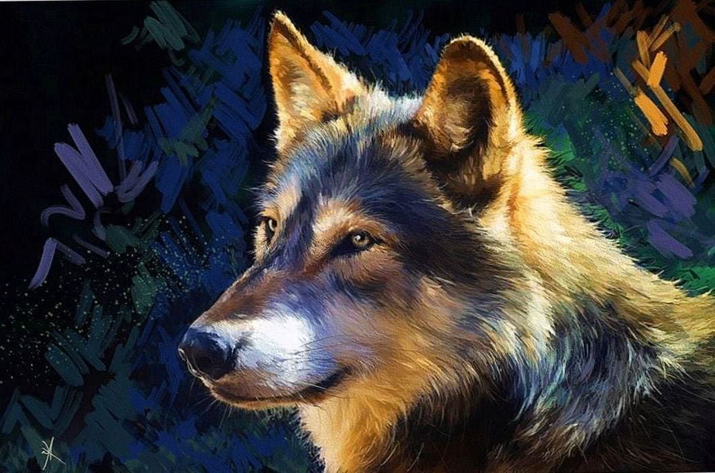Wolf Head Wallpapers