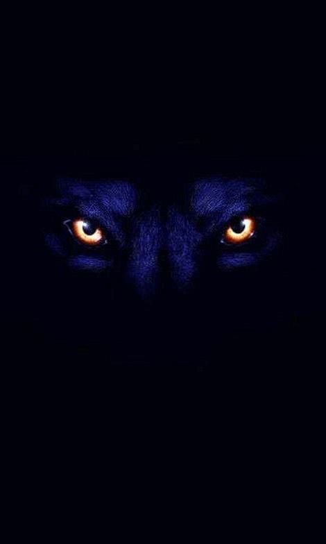 Wolf In The Dark iPhone Wallpapers