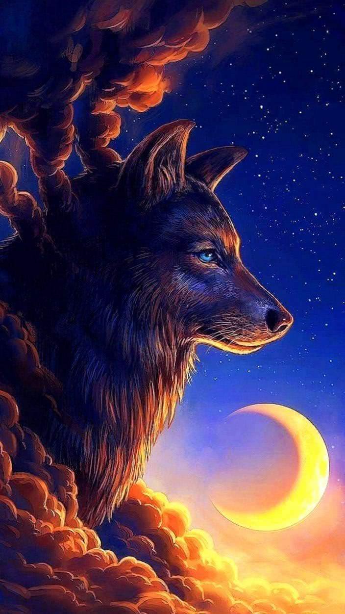Wallpaper Wolf Night Image 1
