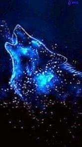 Blue Star Wolf Wallpaper Image 1