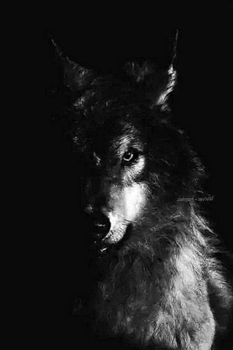 wolf spirit wallpaper background image 6