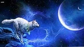 Space Wallpapers Wolf