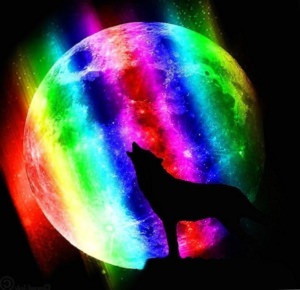 Wolf Wallpapers Rainbow