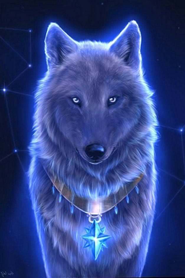 Pretty Wolf Wallpapers free download