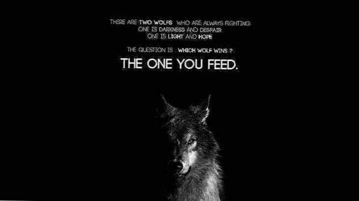 Wolves Quotes Wallpapers