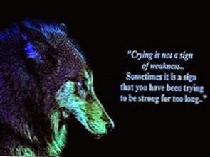 Crying Wolf HD Wallpapers