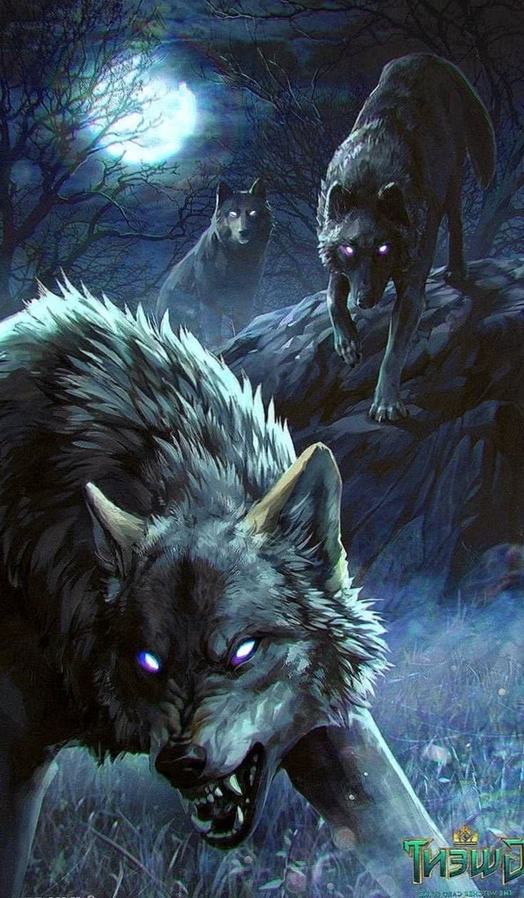 Wolf Wallpapers Beasts