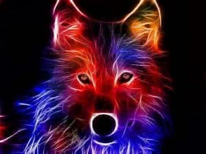 Cool Rainbow Wolf Wallpapers - www.Wolf-Wallpapers.pro