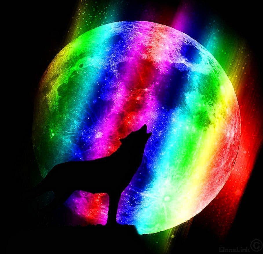 Cool Rainbow Wolf Wallpapers