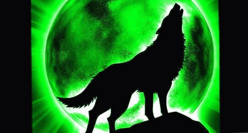 Cool Wolf Background Wallpapers