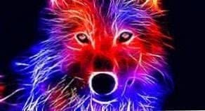 Wolf Wallpaper Red Image 1