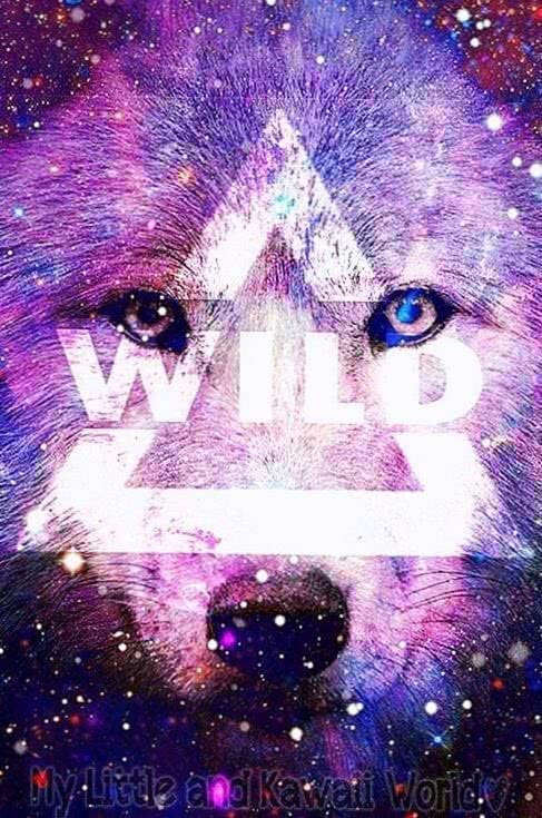Wolf Wallpaper For WhatsApp Image 1