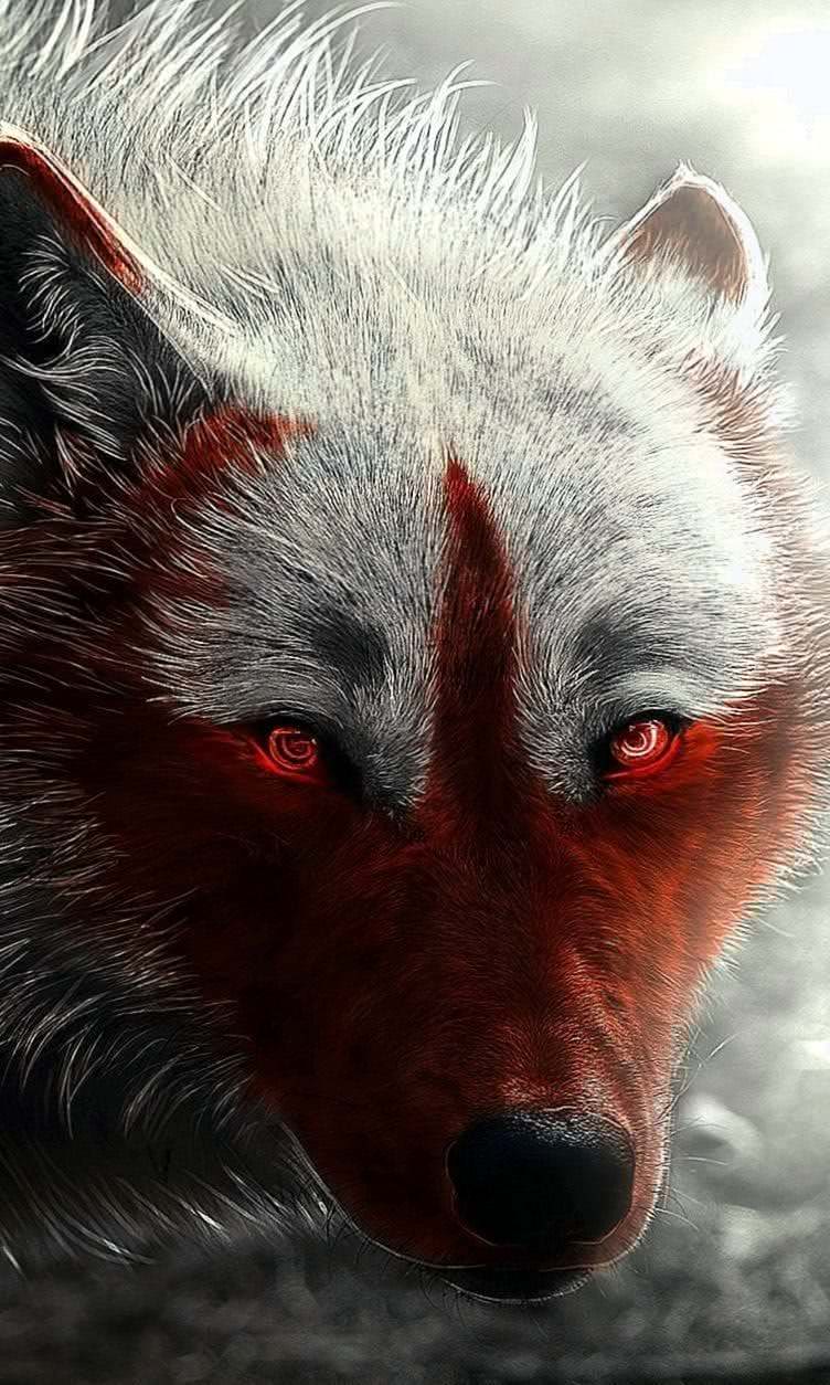 Wallpapers Of Horror Wolf - Wolf-Wallpapers.Pro
