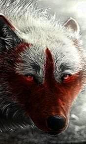 Scary Wolf Wallpaper Image 1