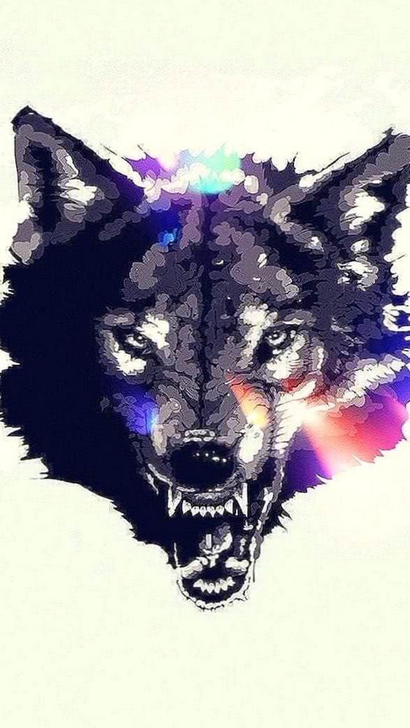 Cool Wolf Phone Wallpapers