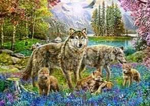 Wolf Spring Wallpaper Image 1