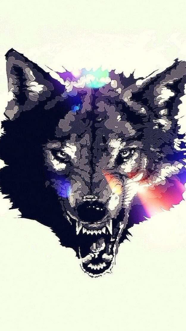 wallpaper celular wolf background image 5