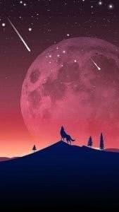 Wolf Wallpaper For Samsung Image 1