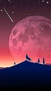 Best Wolf Wallpaper For Mobile Phone Image 1