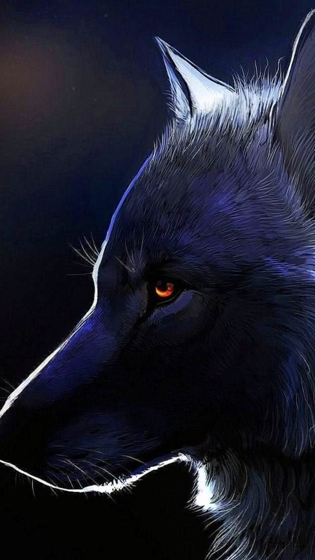 Wallpapers Wolf Doodle - Wolf-Wallpapers.pro