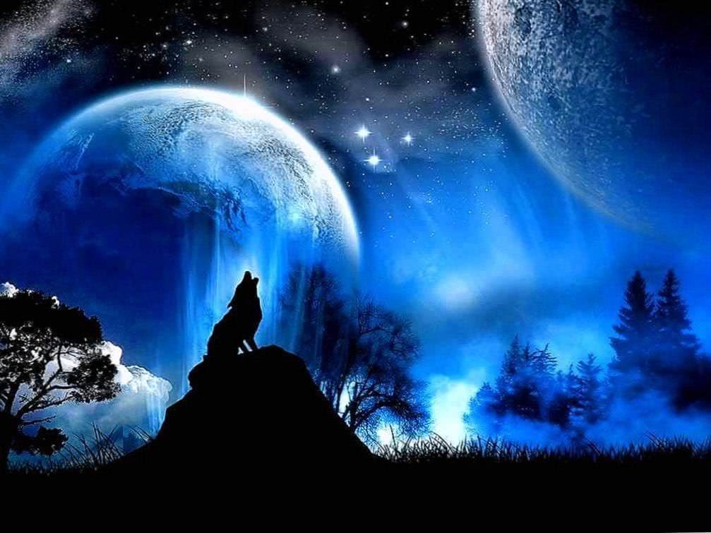 Blue Wolf HD Wallpapers