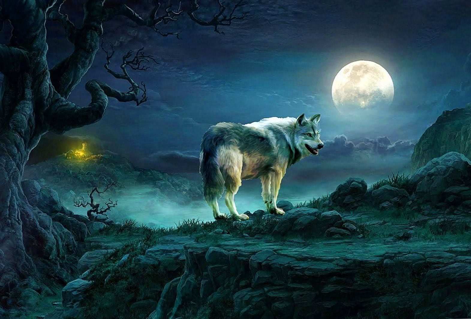 Wolf Moon HD Wallpapers