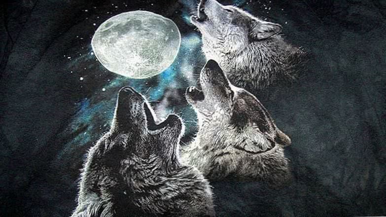 3 Wolf Moon Wallpaper Image 1