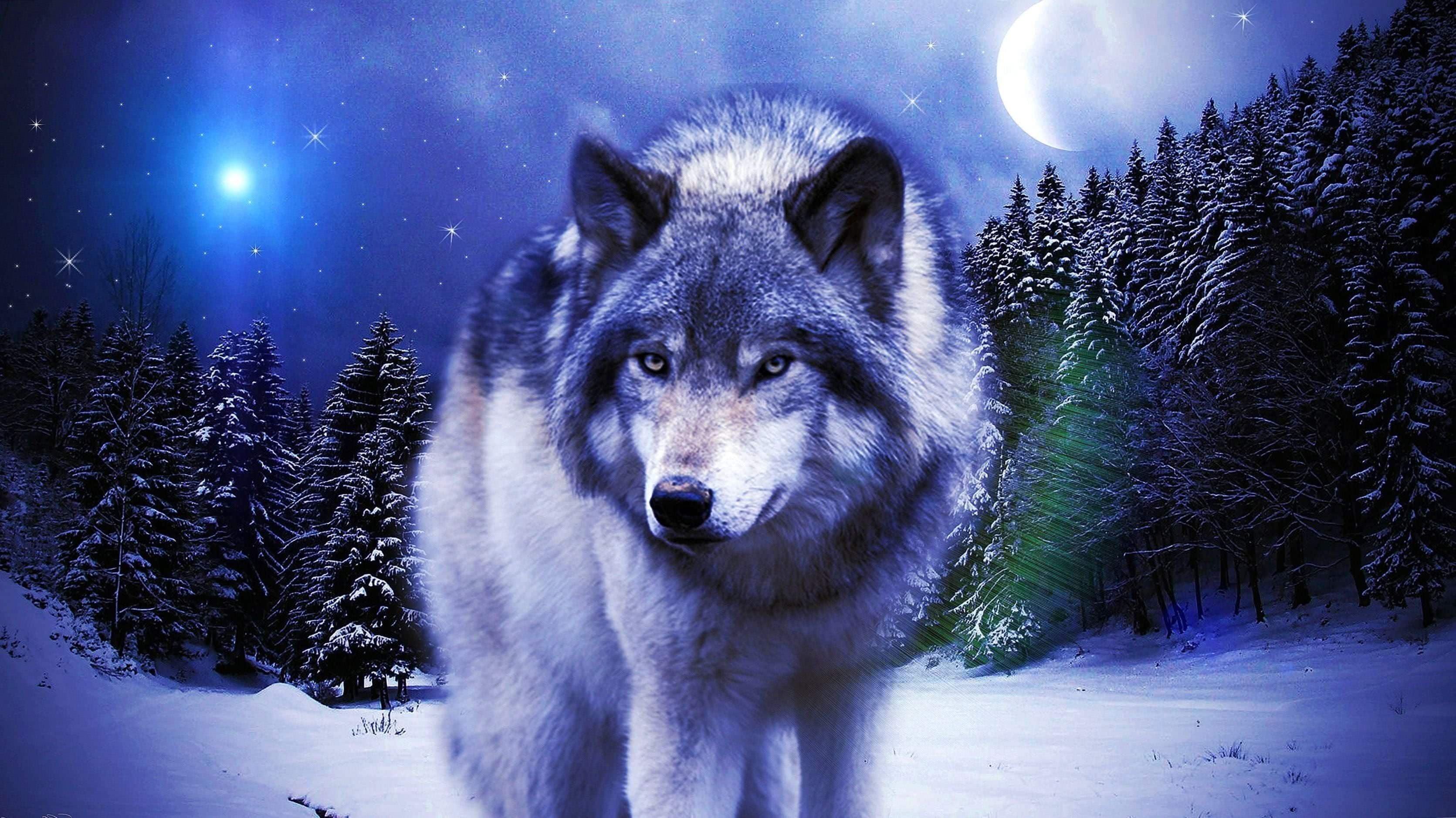 Picture Of Wolves Wallpaper Image 1