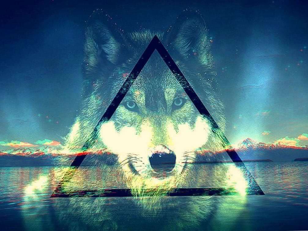 Wolf Wallpapers HD Tumblr