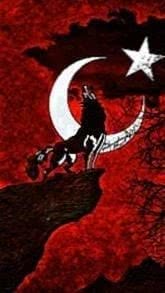 Turkish Wolf Wallpaper Image 1