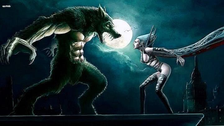 Vampire Vs Werewolf HD Wallpaper Image 1