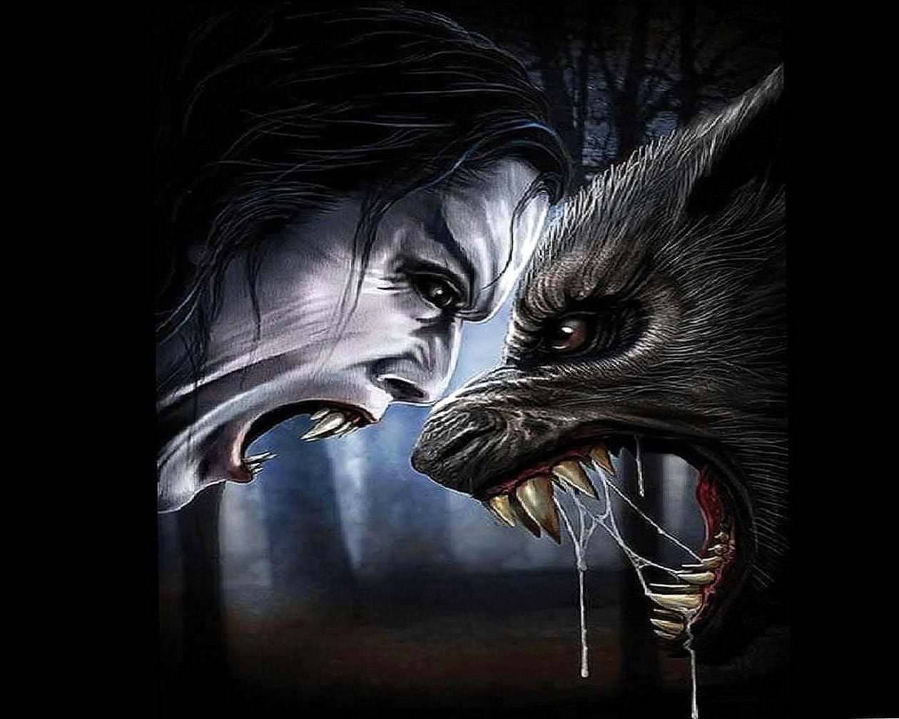 Vampire Vs Werewolf Wallpaper Image 1
