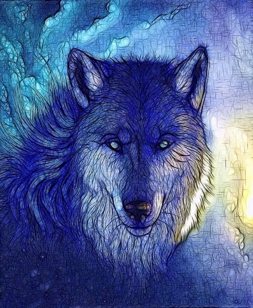 Wolf Wallpapers For Tablets